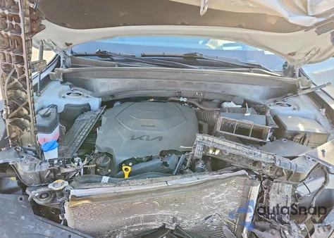 2022 Kia Telluride Sx z USA, uszkodzony, nr VIN 5XYP5DHC9NG205534